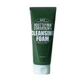 DERMA FACTORY EDLP Houttuynia Cordata 24% Cleansing Foam - 120g