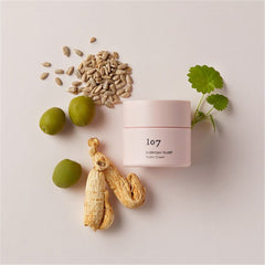 107 Everyday Plump Hydro Cream 50ml