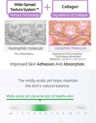 APLB Liposome Collagen LX Serum