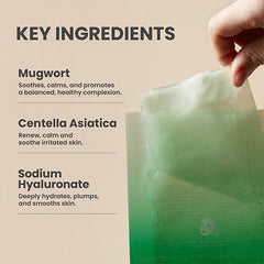 AXIS-Y Mugwort Green Vital Energy Complex Sheet Mask Set (5 pcs)