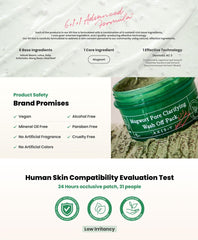 AXIS-Y Mugwort Pore Clarifying Wash Off Pack