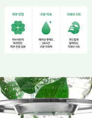 Anua Heartleaf 77 Soothing Mask 25ml (4 Sheets)