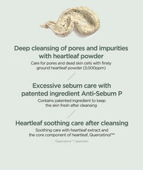 Anua Heartleaf Quercetinol Pore Deep Cleansing Foam