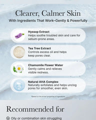 Arencia Hyssop Sebum Control Rice Cake Cleanser