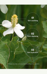 Ariul 7 Days Mask Heartleaf  P 23ml * 10ea
