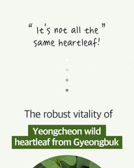 Ariul 7 Days Mask Heartleaf  P 23ml * 10ea