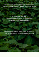 Ariul 7 Days Mask Heartleaf  P 23ml * 10ea