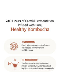 Ariul Kombucha Treatment Essence