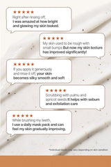 Ariul Skin Balance Wash-Off Mask Pack Yulmu Enzyme 100ml