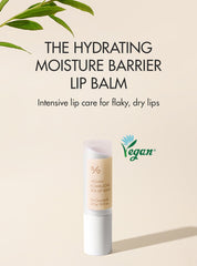 Dr.Ceuracle Vegan Kombucha Tea Lip Balm 3.7g