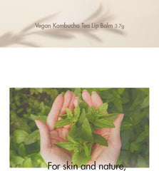 Dr.Ceuracle Vegan Kombucha Tea Lip Balm 3.7g