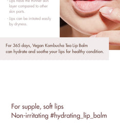 Dr.Ceuracle Vegan Kombucha Tea Lip Balm 3.7g