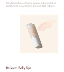 Dr.Ceuracle Vegan Kombucha Tea Lip Balm 3.7g