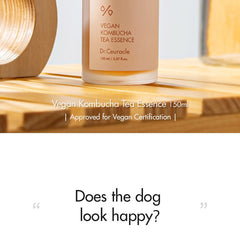 Dr.Ceuracle Vegan Kombucha Tea Special Set
