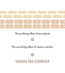 Dr.Ceuracle Vegan Kombucha Tea Special Set