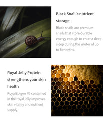 Dr.G Royal Black Snail Cream Mask 10ea