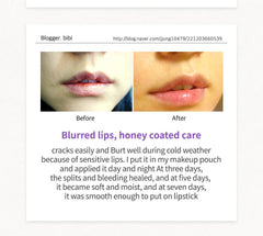 FRUDIA Blueberry Hydrating Honey Lip Balm 10g