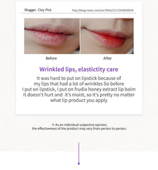 FRUDIA Blueberry Hydrating Honey Lip Balm 10g