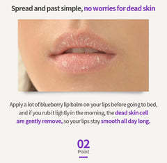 FRUDIA Blueberry Hydrating Honey Lip Balm 10g