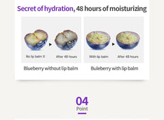 FRUDIA Blueberry Hydrating Honey Lip Balm 10g