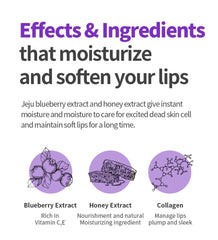FRUDIA Blueberry Hydrating Honey Lip Balm 10g