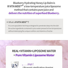 FRUDIA Blueberry Hydrating Honey Lip Balm 10g