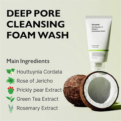 Genabelle Phytology 17 Perfect Cleansing Foam 150ml