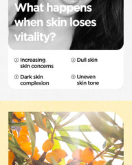 Isntree C-Niacin Toning Cream 50ml