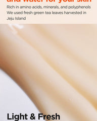 Isntree Green Tea Fresh Emulsion 120ml