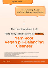 Isntree Yam Root pH-Balancing Cleanser 120ml