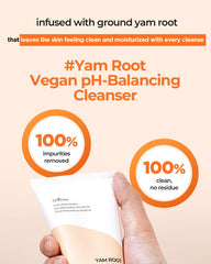 Isntree Yam Root pH-Balancing Cleanser 120ml
