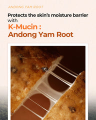 Isntree Yam Root pH-Balancing Cleanser 120ml