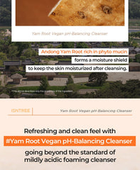 Isntree Yam Root pH-Balancing Cleanser 120ml