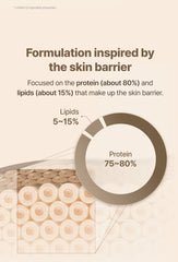 Isntree Yam Root Vegan Barrier Cream 80ml