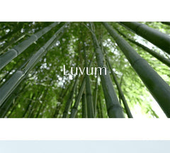 Luvum Bamboo Hyaluronic Moisture Suncream 50ml