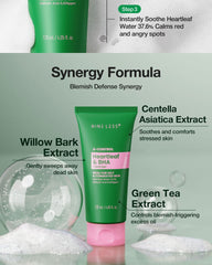 NINELESS A-Control Heartleaf & BHA Cleanser 120ml