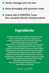 NINELESS A-Control Heartleaf & BHA Cleanser 120ml