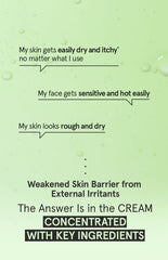 One Thing Cica B5 Cream 70ml