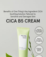 One Thing Cica B5 Cream 70ml
