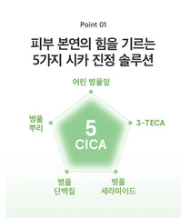 ONE THING CICA B5 Serum 50ml
