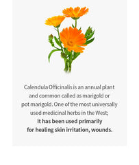 ONE THING Calendula Officinalis Flower Extract 300ml