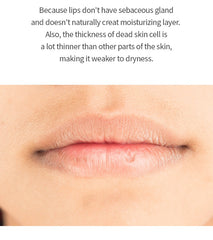 ONE THING Organic Oil Lip Essence 13g
