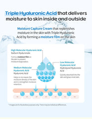 Ongredients Aqua Keeping Cream 50ml
