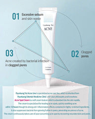 Pyunkang Yul ACNE Spot Cream 15ml