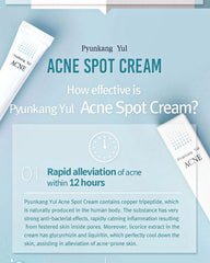 Pyunkang Yul ACNE Spot Cream 15ml