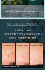 Pyunkang Yul ACNE Spot Cream 15ml