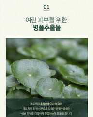 Pyunkang Yul Calming Mask Pack 10 sheets