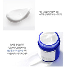 Pyunkang Yul Nutrition Cream 100ml
