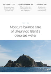 Round Lab 1025 Dokdo Peeling Gel 120ml