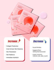 ROUND LAB Camellia Deep Collagen Firming Gel Mask 4ea